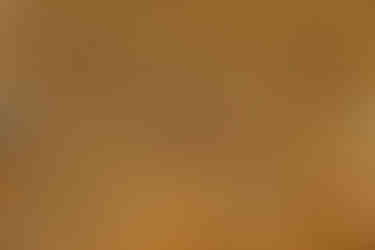 Carved Ceiling basilica of santa prassede 