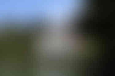 Villa d'Este Gardens Tivoli