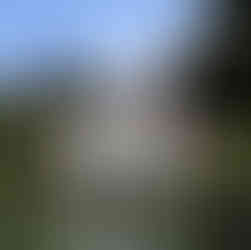 fountain at villa d'este, italy