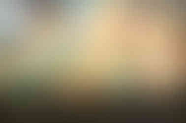 art fresco and link to roma experience's luxury tours