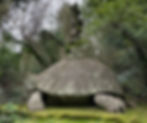 giant turtle in the park of monsters bomarzo italy