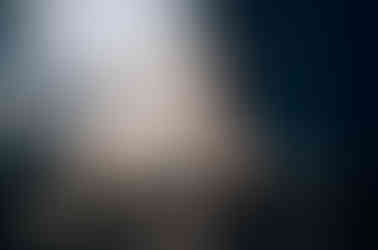 link to the vatican museum tours