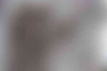 Columns Forum of Augustus