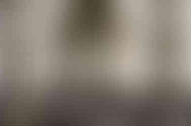 link to see rome in a day tour