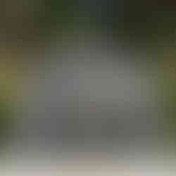 fountain at villa d'este, italy