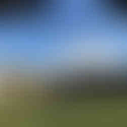 ruins at ostia antica