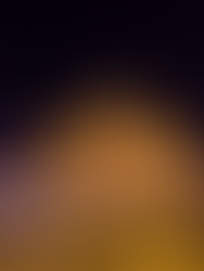 View of Castel Sant'Angelo from the Ponte Elio Bridge at Night